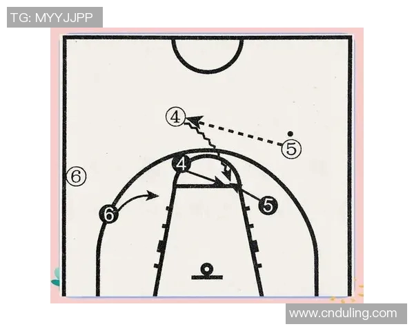 深入分析杭州篮球队的快速转换战术与战斗策略
